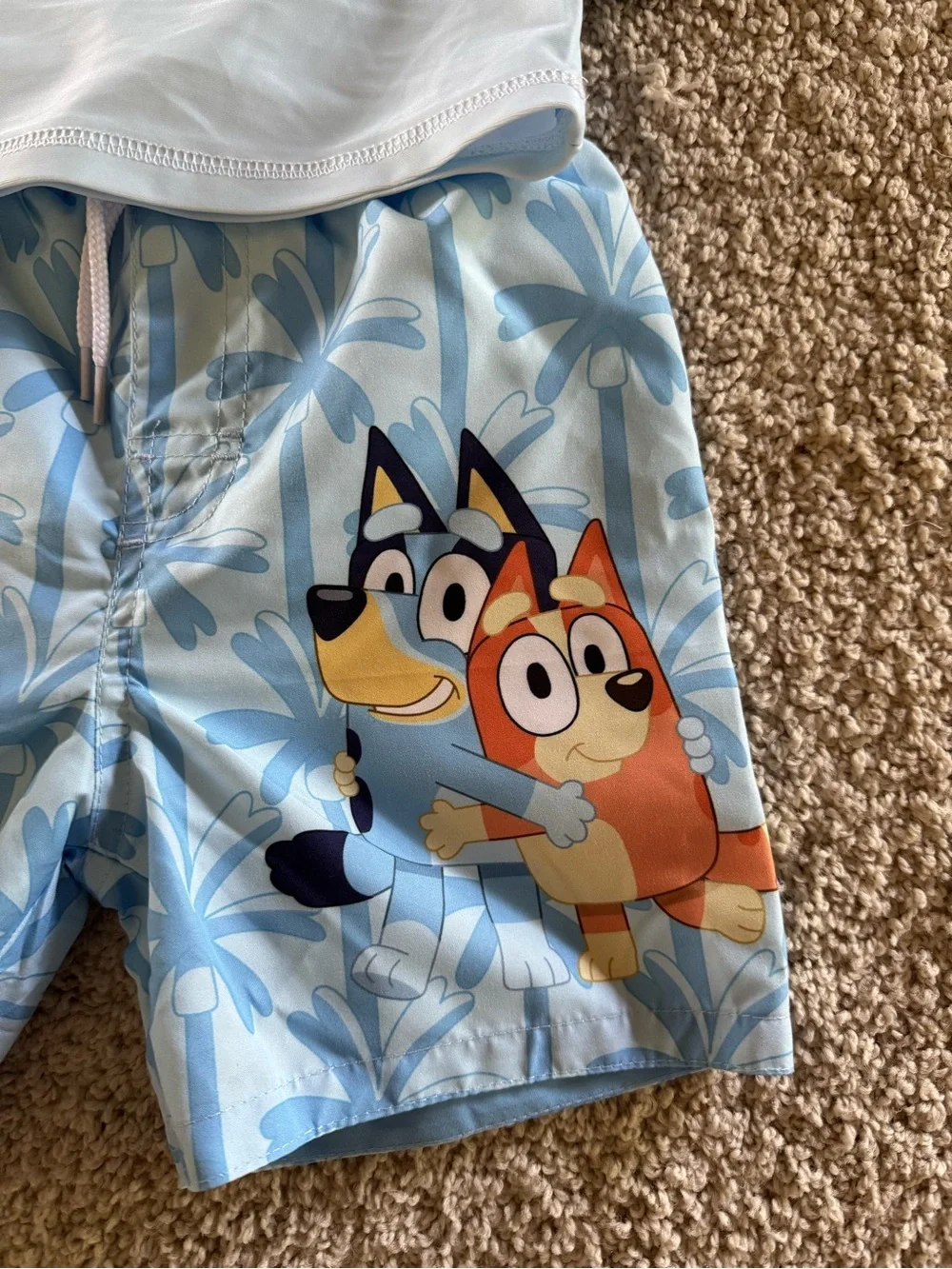 NWT Bluey 3T two piece child swim set BRAND NEW